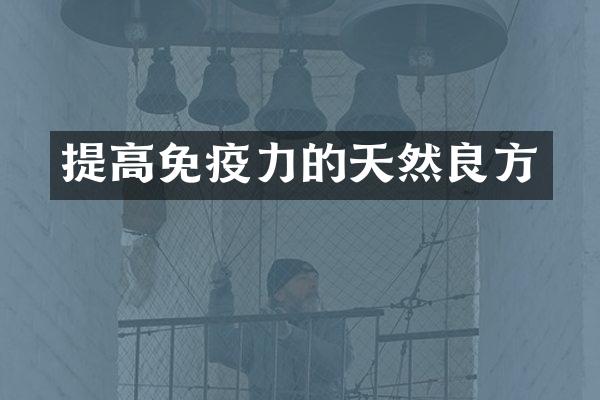 提高免疫力的天然良方