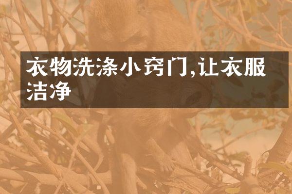 衣物洗涤小窍门,让衣服更洁净