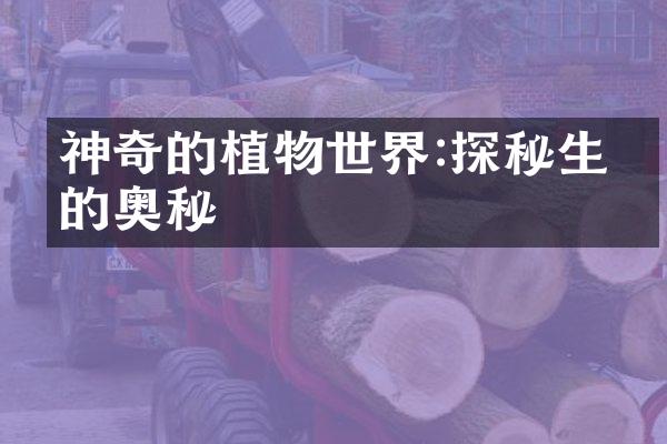 神奇的植物世界:探秘生命的奥秘