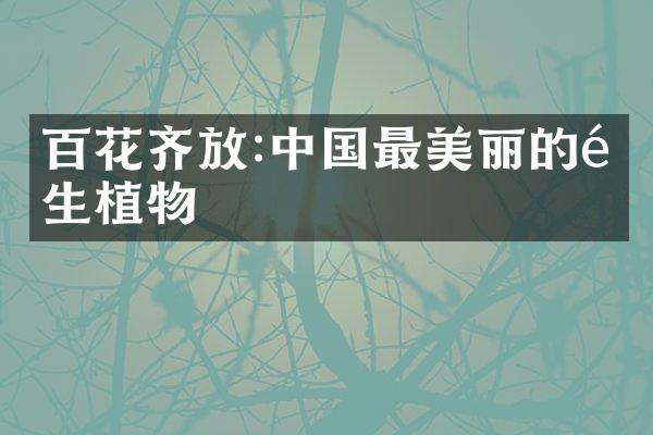 百花齐放:中国最美丽的野生植物