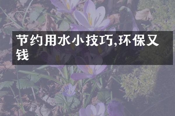 节约用水小技巧,环保又省钱