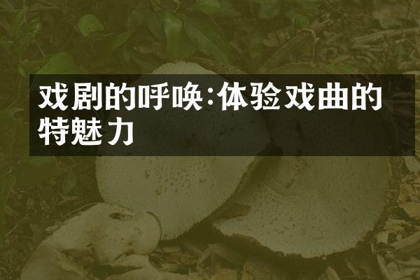 戏剧的呼唤:体验戏曲的独特魅力