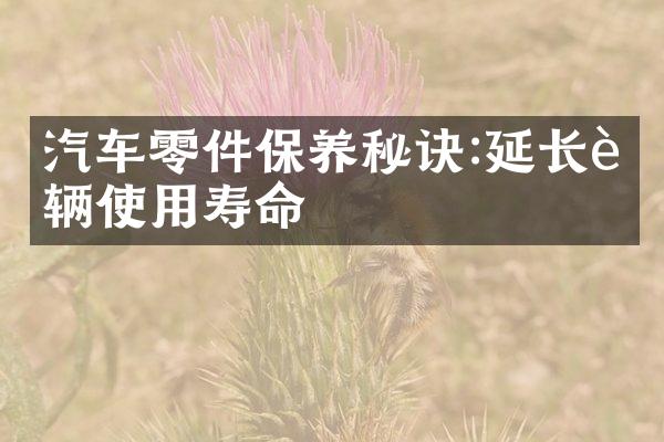 汽车零件保养秘诀:延长车辆使用寿命