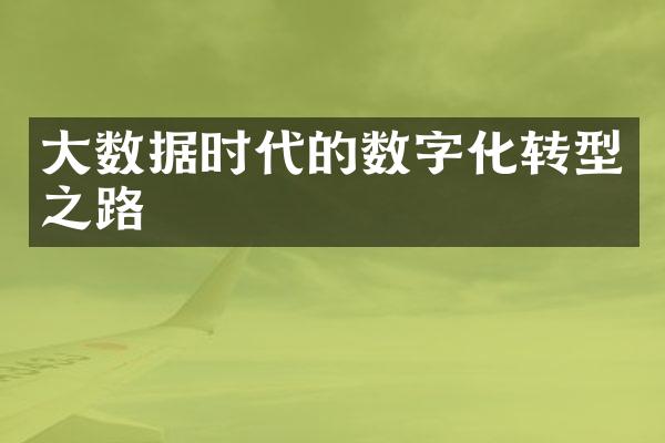 大数据时代的数字化转型之路