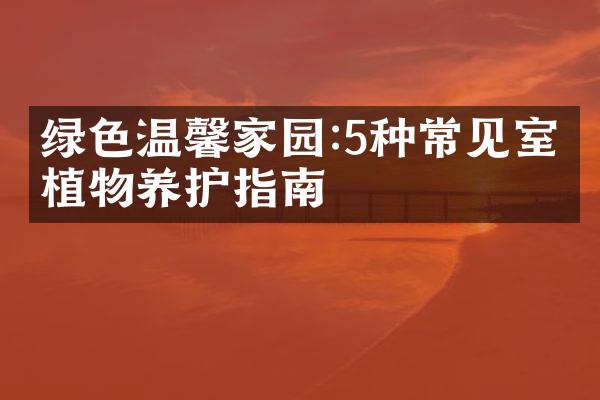 绿色温馨家园:5种常见室内植物养护指南