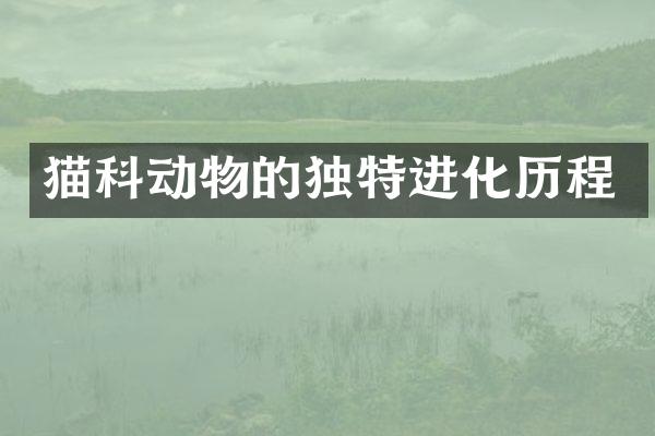 猫科动物的独特进化历程