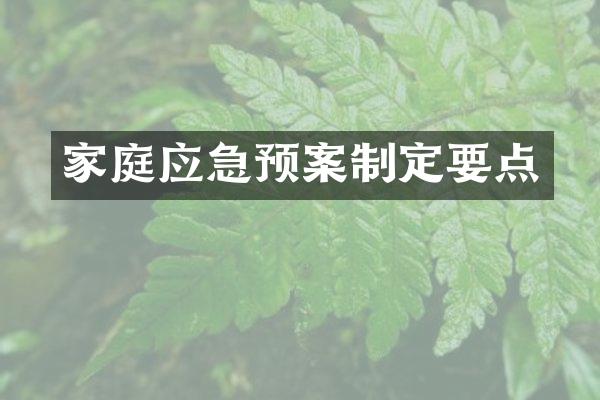 家庭应急预案制定要点