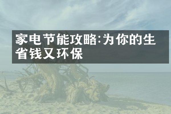 家电节能攻略:为你的生活省钱又环保