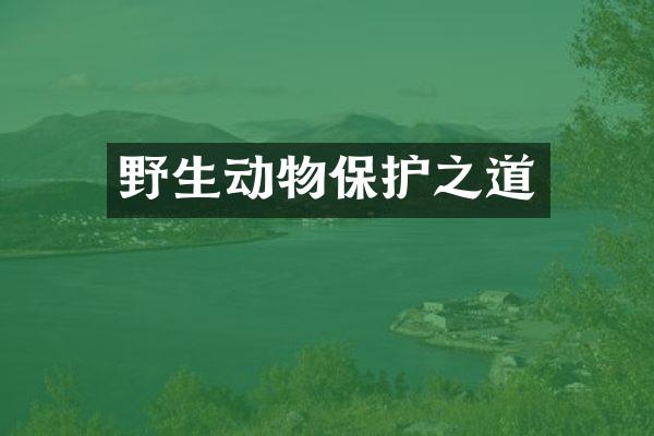 野生动物保护之道