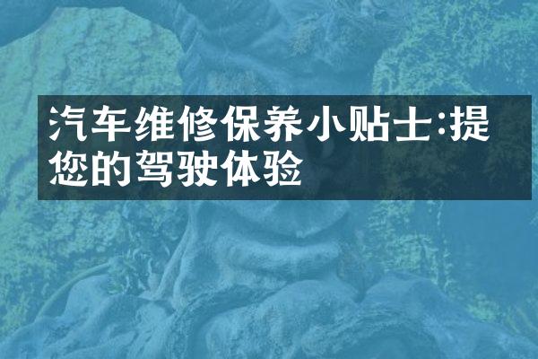 汽车维修保养小贴士:提升您的驾驶体验