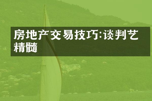 房地产交易技巧:谈判艺术精髓