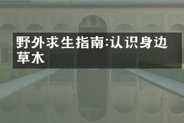 野外求生指南:认识身边的草木