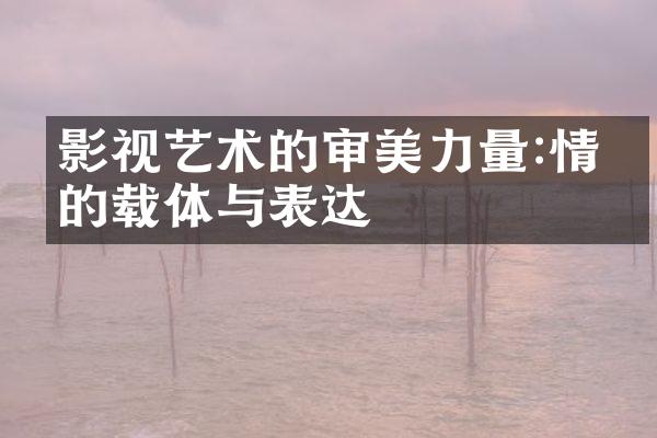 影视艺术的审美力量:情感的载体与表达