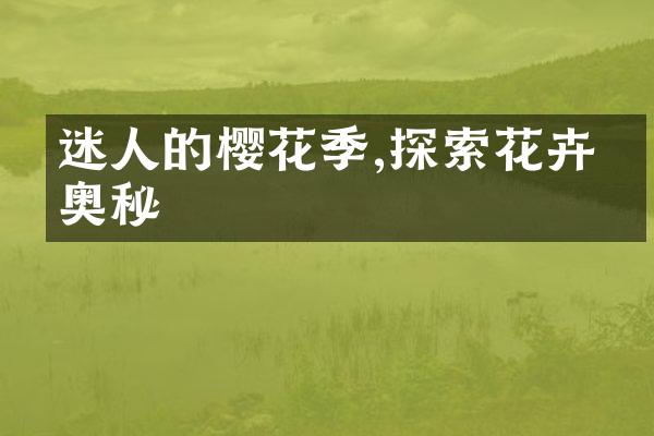迷人的樱花季,探索花卉的奥秘