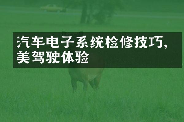 汽车电子系统检修技巧,完美驾驶体验