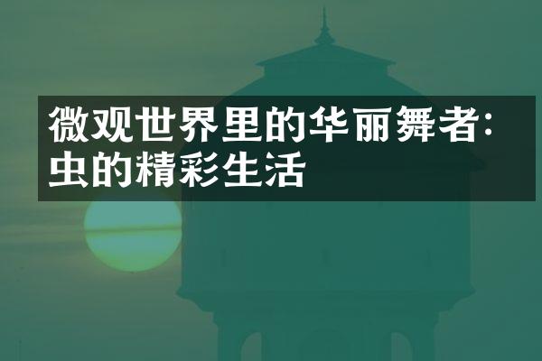 微观世界里的华丽舞者:昆虫的精彩生活