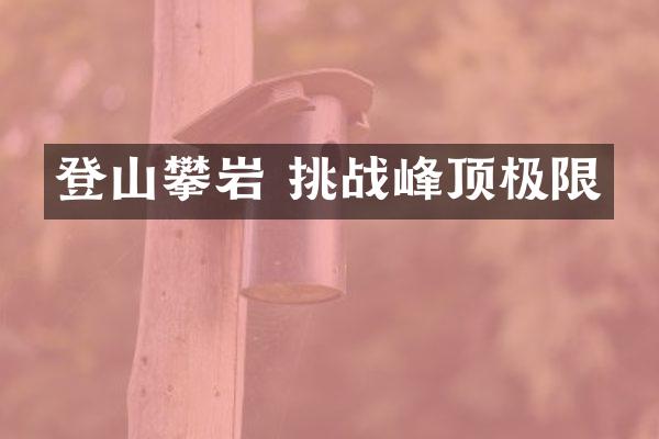 登山攀岩 挑战峰顶极限