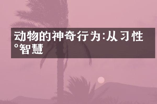 动物的神奇行为:从习性到智慧