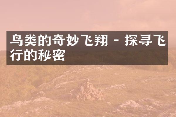 鸟类的奇妙飞翔 - 探寻飞行的秘密