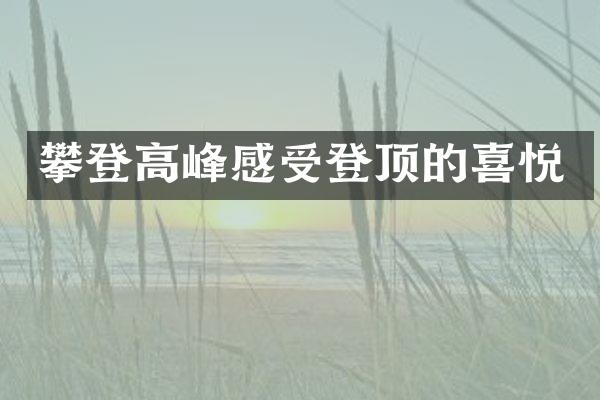 攀登高峰感受登顶的喜悦