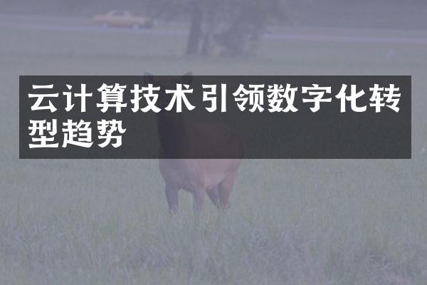 云计算技术引领数字化转型趋势