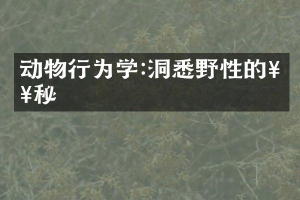 动物行为学:洞悉野性的奥秘