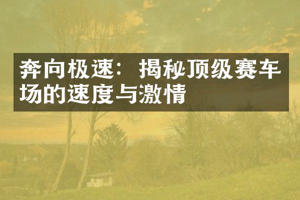 奔向极速：揭秘顶级赛车场的速度与激情