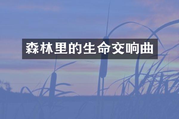 森林里的生命交响曲
