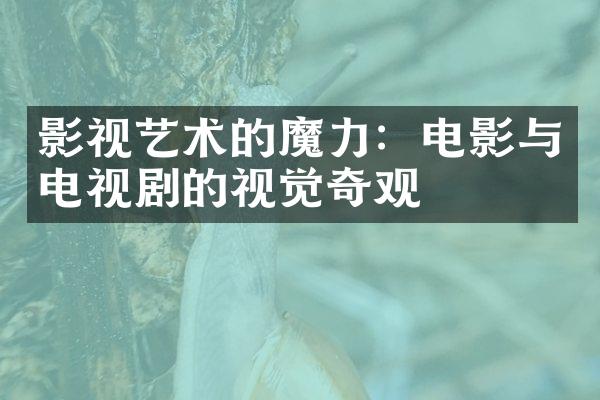 影视艺术的魔力：电影与电视剧的视觉奇观