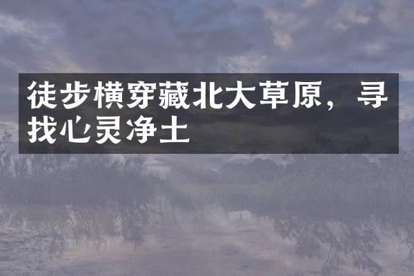 徒步横穿藏北大草原，寻找心灵净土
