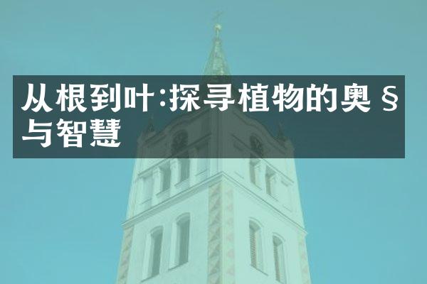 从根到叶:探寻植物的奥秘与智慧
