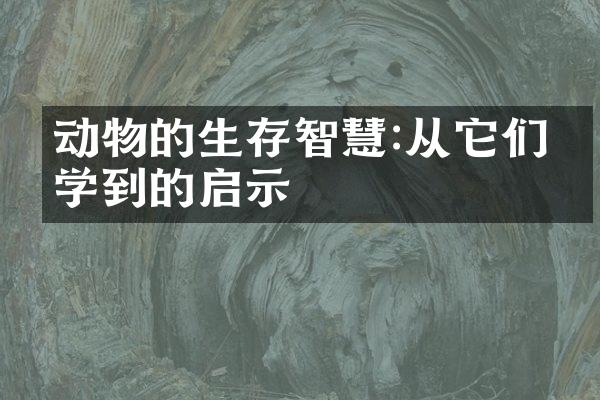 动物的生存智慧:从它们中学到的启示