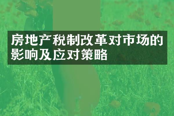 房地产税制改革对市场的影响及应对策略