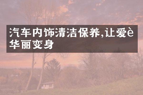 汽车内饰清洁保养,让爱车华丽变身