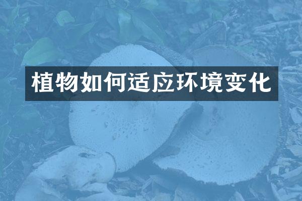 植物如何适应环境变化