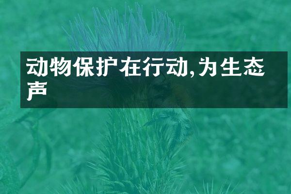 动物保护在行动,为生态发声