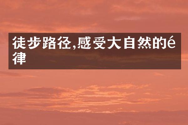 徒步路径,感受大自然的韵律