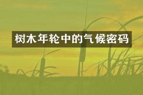 树木年轮中的气候密码