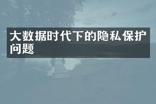 大数据时代下的隐私保护问题