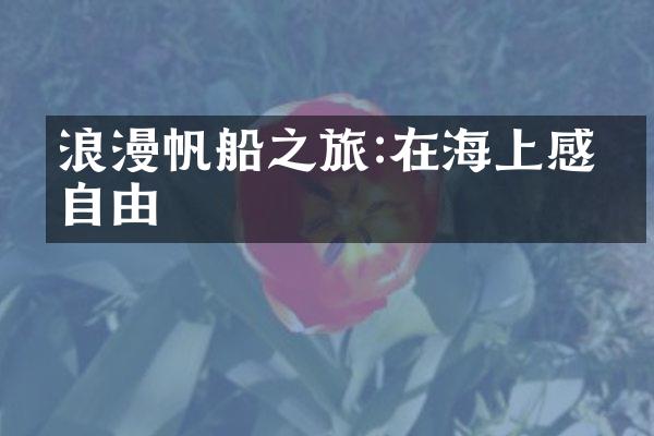 浪漫帆船之旅:在海上感受自由