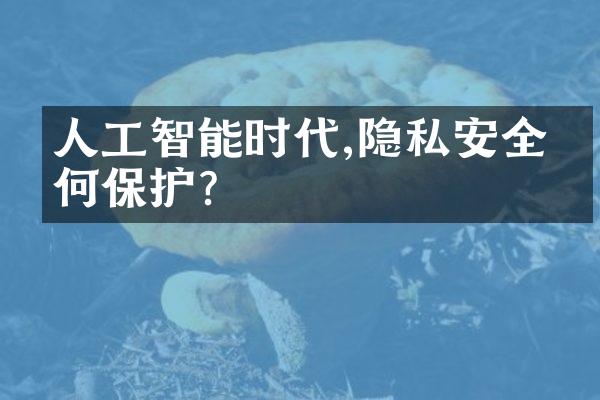 人工智能时代,隐私安全如何保护?