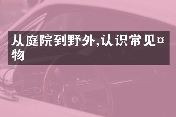 从庭院到野外,认识常见植物