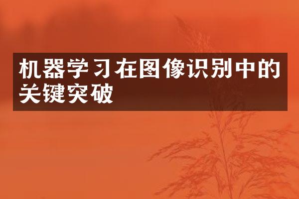 机器学习在图像识别中的关键突破