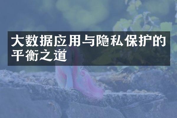 大数据应用与隐私保护的平衡之道
