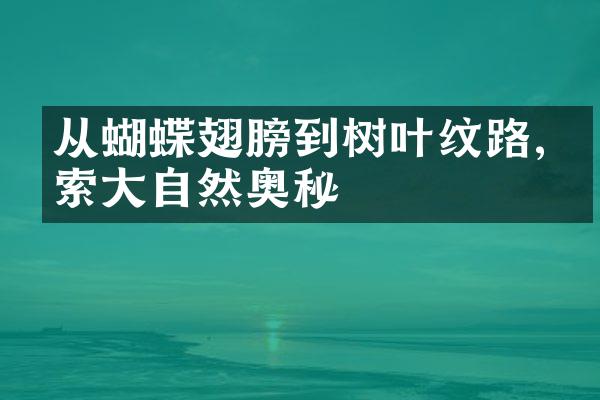 从蝴蝶翅膀到树叶纹路,探索大自然奥秘