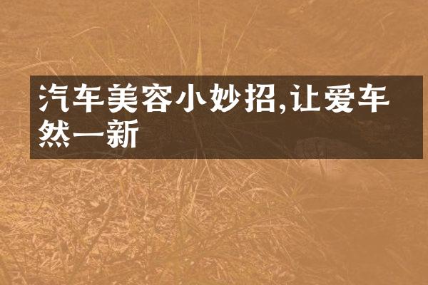 汽车美容小妙招,让爱车焕然一新