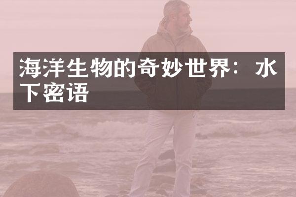 海洋生物的奇妙世界：水下密语