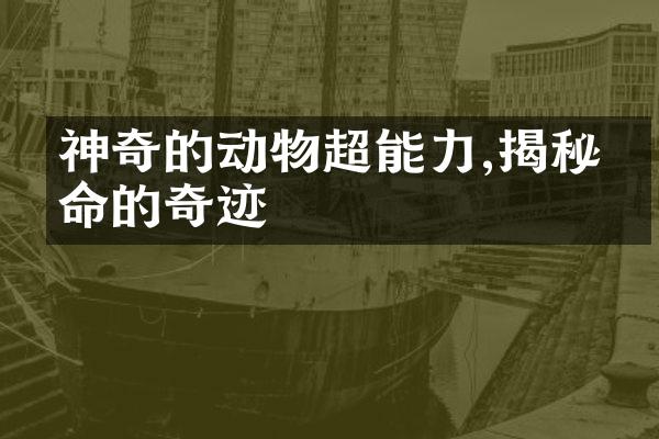 神奇的动物超能力,揭秘生命的奇迹