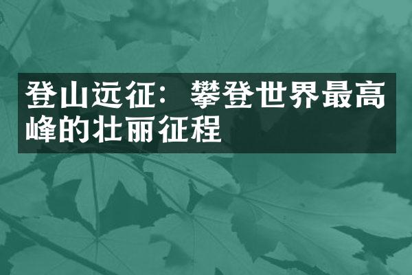 登山远征：攀登世界最高峰的壮丽征程
