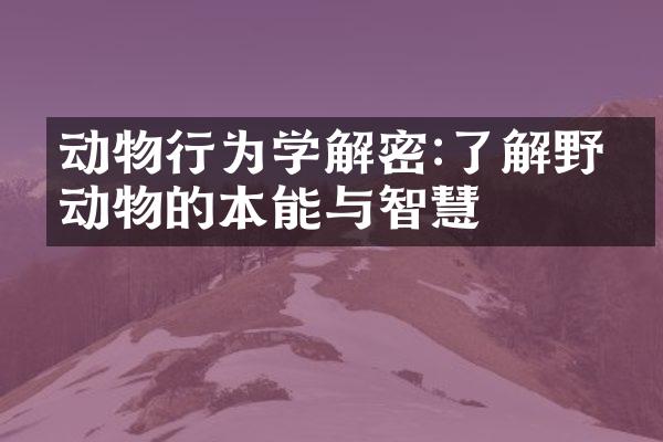 动物行为学解密:了解野生动物的本能与智慧